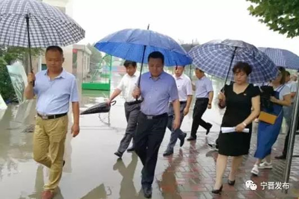 ����Ԫǿ����ʵץ�õ���֯���� ��������Ϊ�Ƚ�